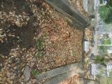 image of grave number 835101
